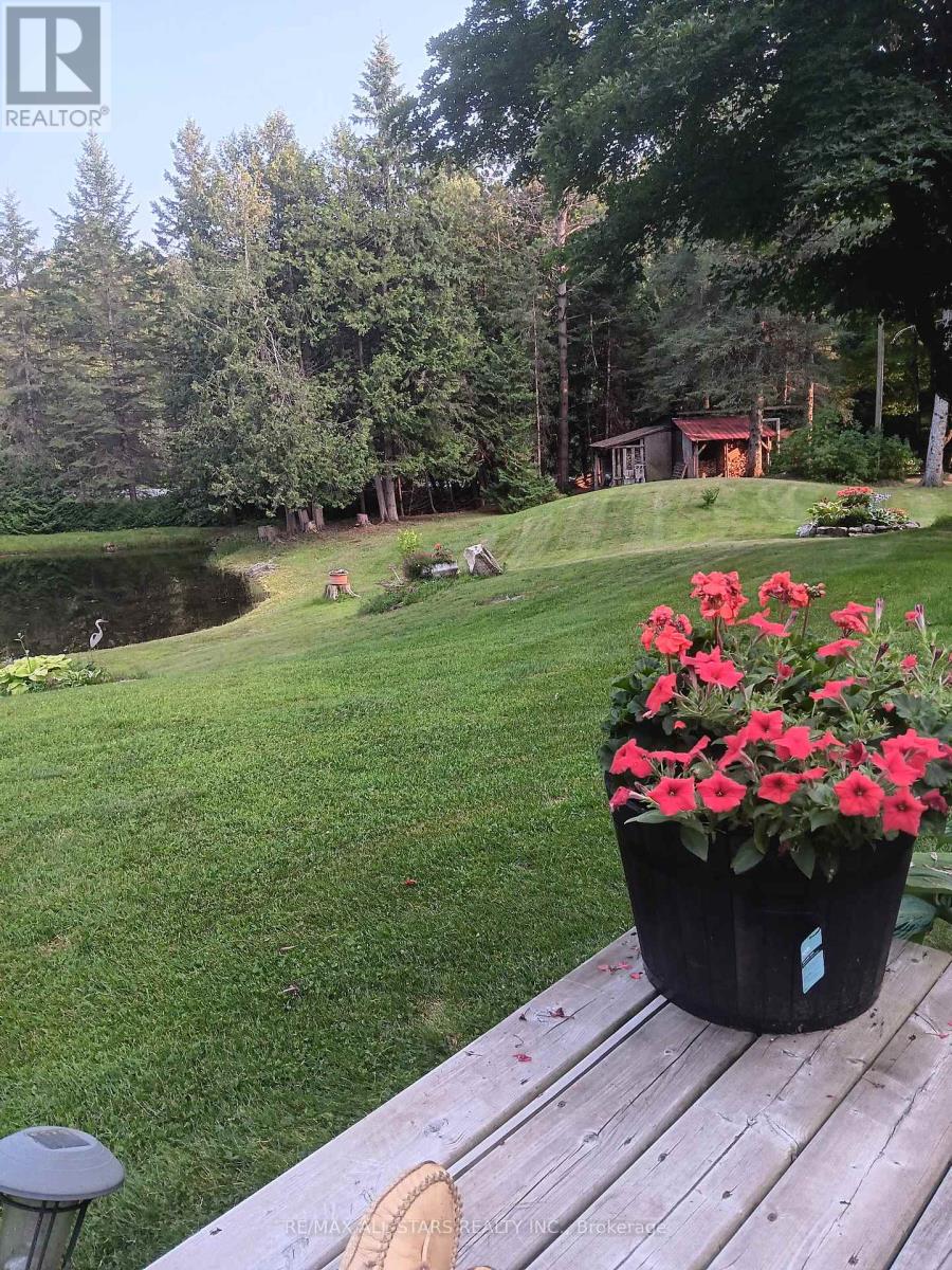 767 Galway Road, Trent Lakes, Ontario  K0M 2A0 - Photo 37 - X12044657