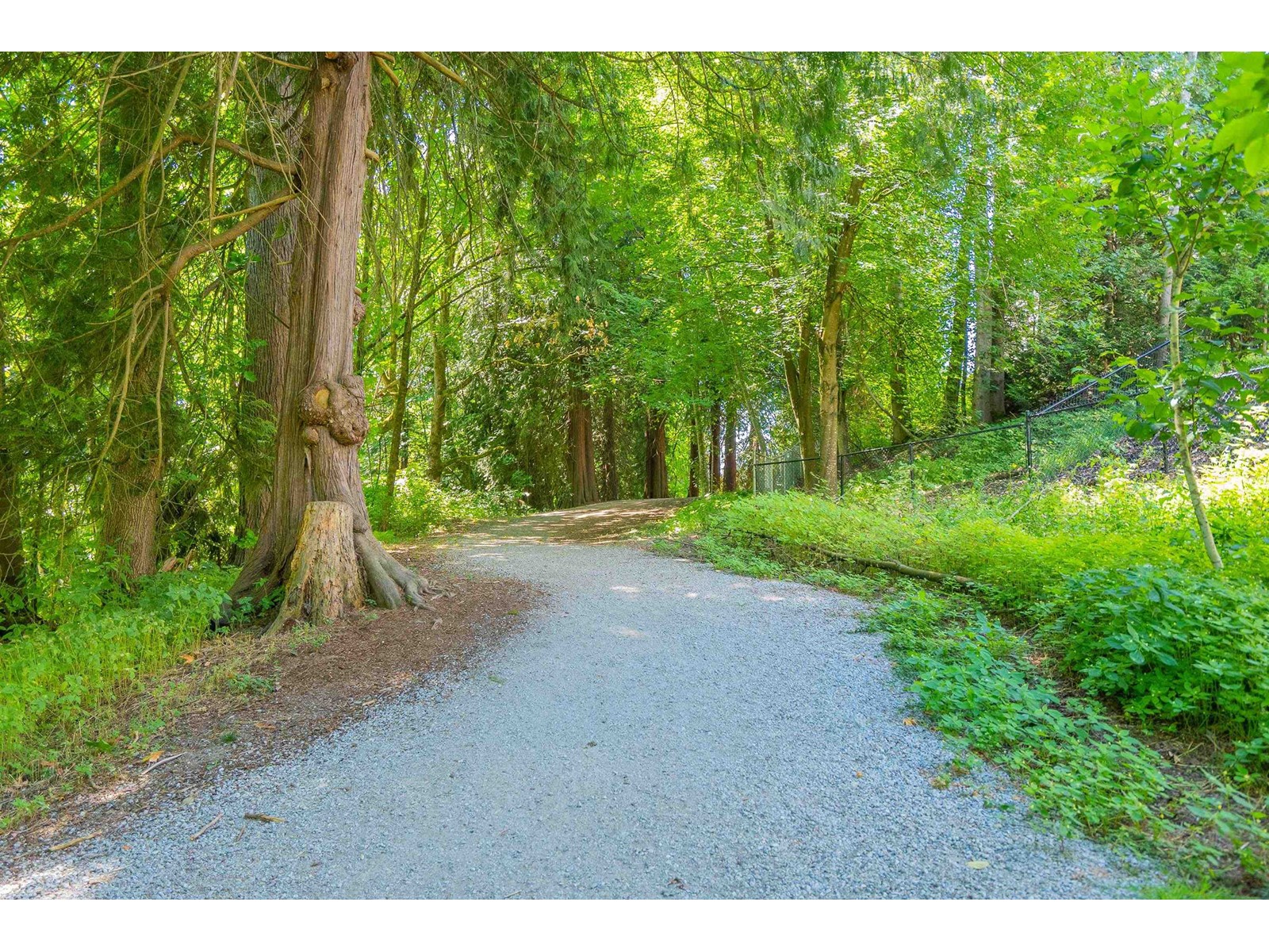 408 3176 Gladwin Road, Abbotsford, British Columbia  V2T 6R7 - Photo 33 - R3008402