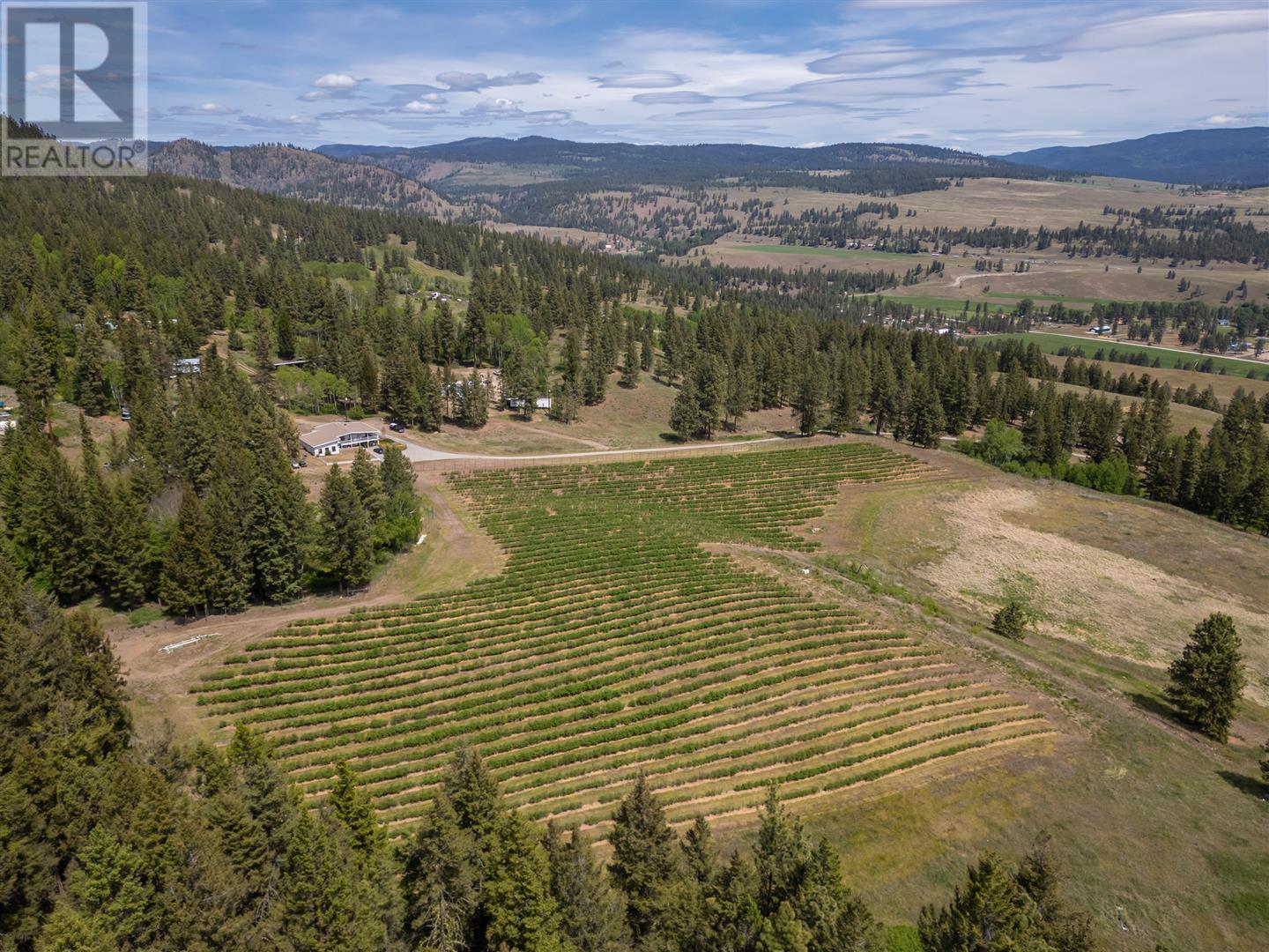 615 Cedar Creek Road, Princeton, British Columbia  V0X 1W0 - Photo 1 - 10350389