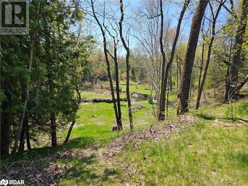 8529 9th Line Line, Utopia, Ontario  L0M 1T0 - Photo 14 - 40734208
