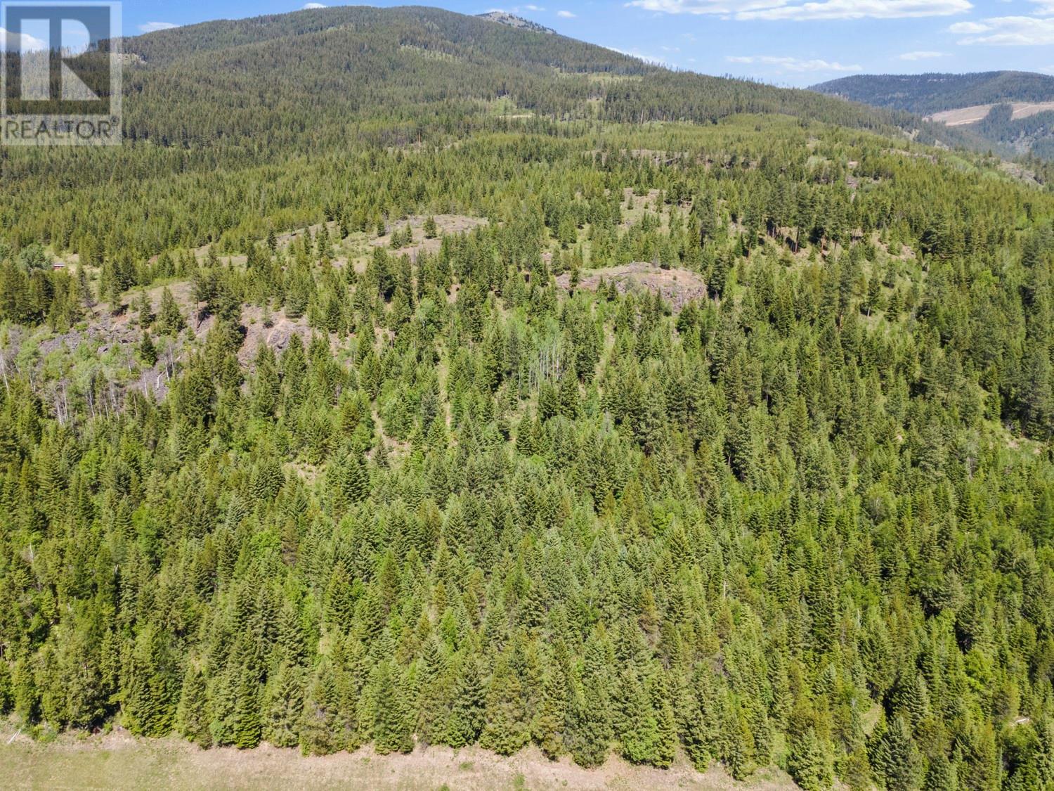 6990 3 Highway, Kitchener, British Columbia V0B 1W1 - Photo 9 - 10350189