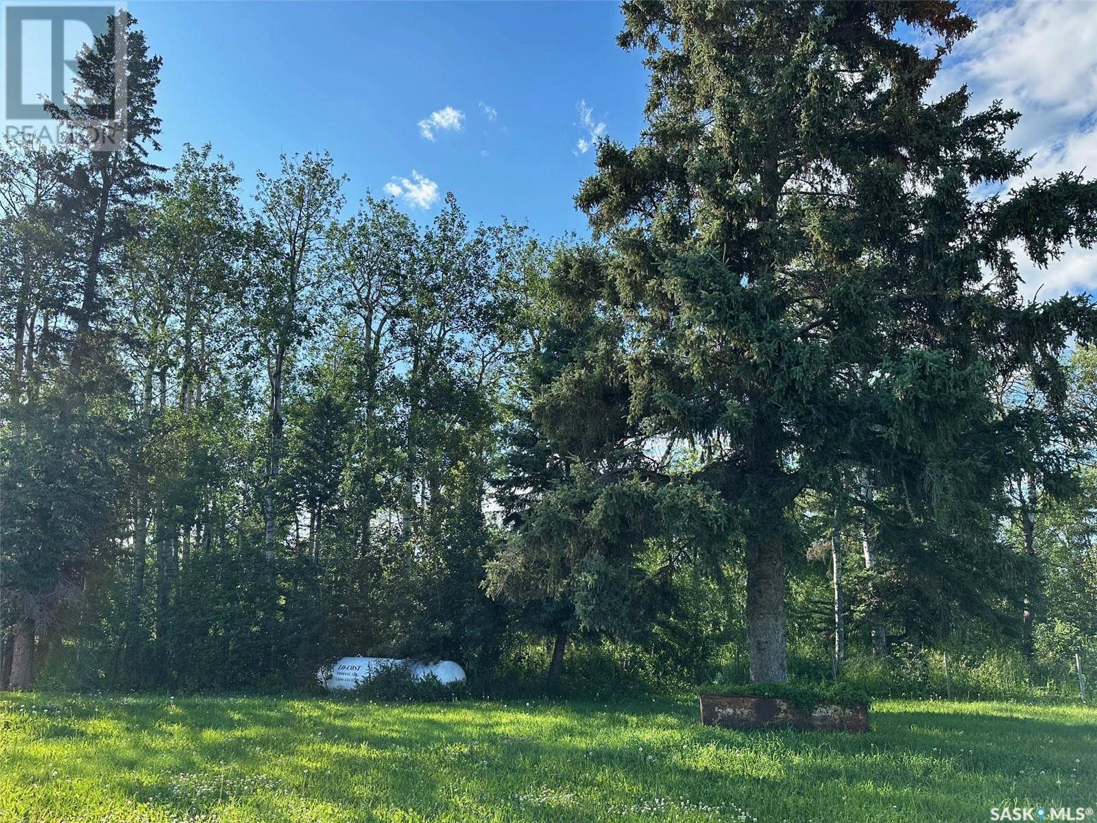 Dunbar Hawke, Preeceville Rm No. 334, Saskatchewan  S0E 0Y0 - Photo 14 - SK007990