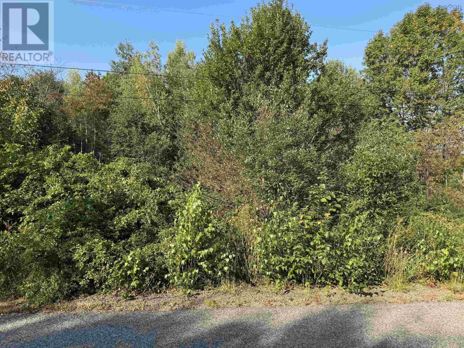Greenwood Road, Harmony, Nova Scotia  B0P 1N0 - Photo 2 - 202513138