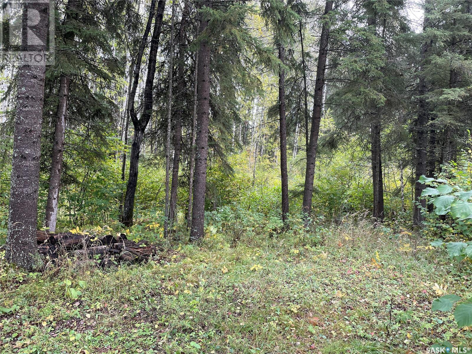 Lot 20 Tranquility Drive, Big River Rm No. 555, Saskatchewan  S0J 0E0 - Photo 21 - SK002604