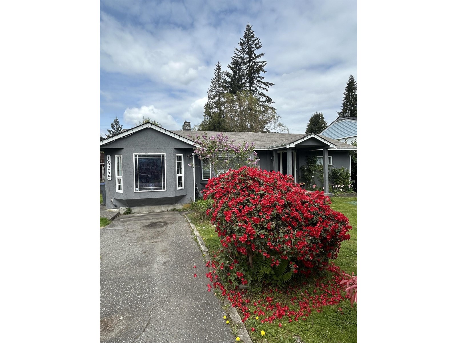 14349 Kindersley Drive, Surrey, British Columbia  V3R 5R1 - Photo 24 - R3002484