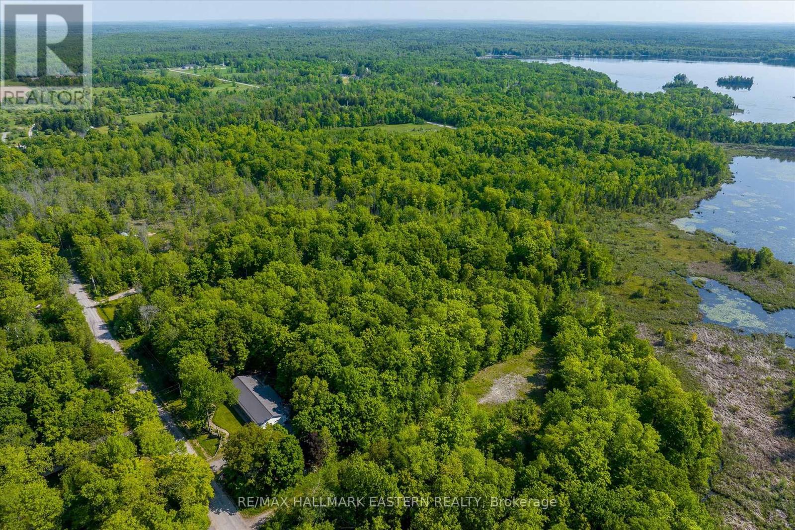 189 Cedarshores Drive, Trent Hills, Ontario  K0L 1Z0 - Photo 4 - X12094771