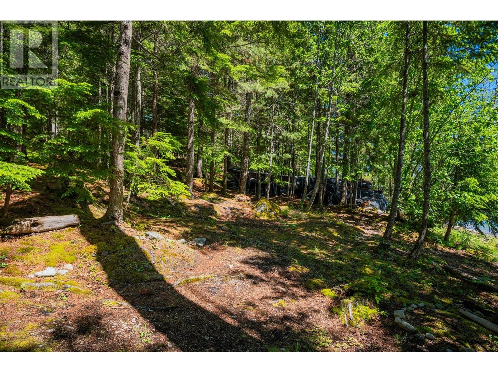9557 Slocan Lake, Slocan, British Columbia  V0G 2C0 - Photo 37 - 10348772