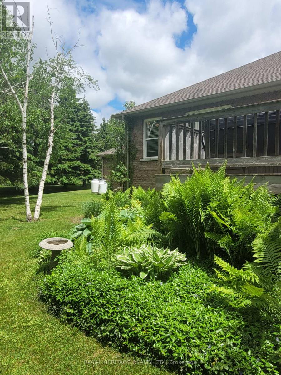 8188 Woodland Avenue, Port Hope, Ontario  L0A 1B0 - Photo 30 - X12121321