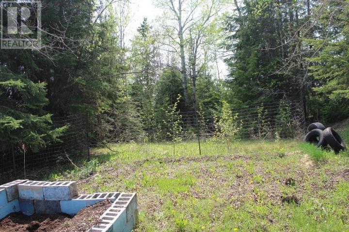150 First St, Nipigon, Ontario  P0T 2J0 - Photo 8 - TB251471