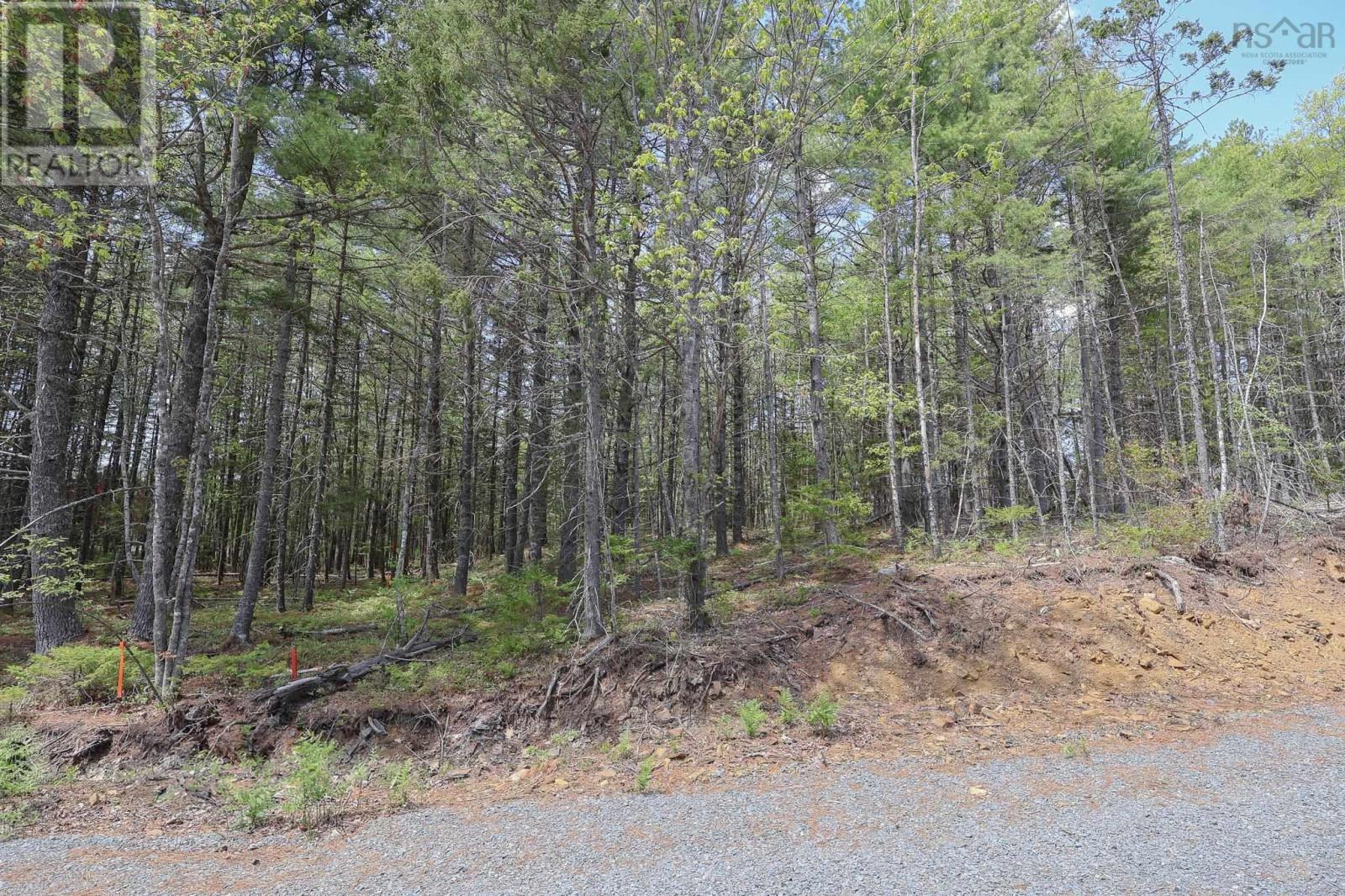 Lot 101 Cleversey Ridge Park, Fauxburg, Nova Scotia  B0J 2C0 - Photo 6 - 202512848