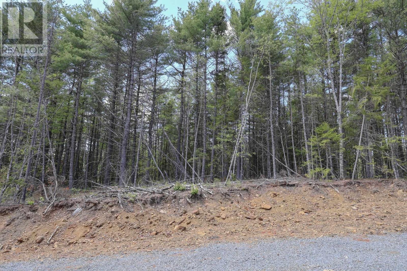 Lot 101 Cleversey Ridge Park, Fauxburg, Nova Scotia  B0J 2C0 - Photo 5 - 202512848