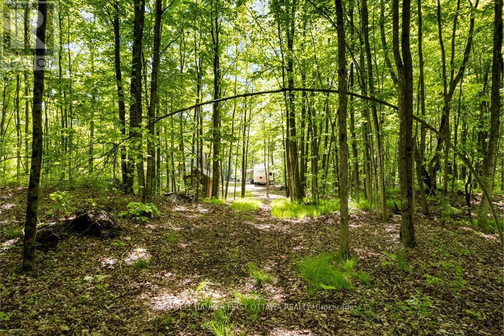 00 Scotch Line, Tay Valley, Ontario  K7H 3C5 - Photo 7 - X12190265