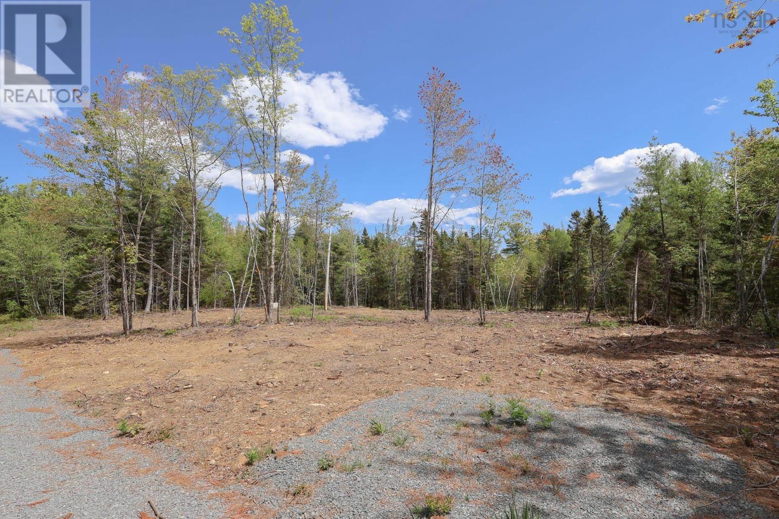 Lot 107 Cleversey Ridge Park, Fauxburg, Nova Scotia  B0J 2C0 - Photo 4 - 202505775