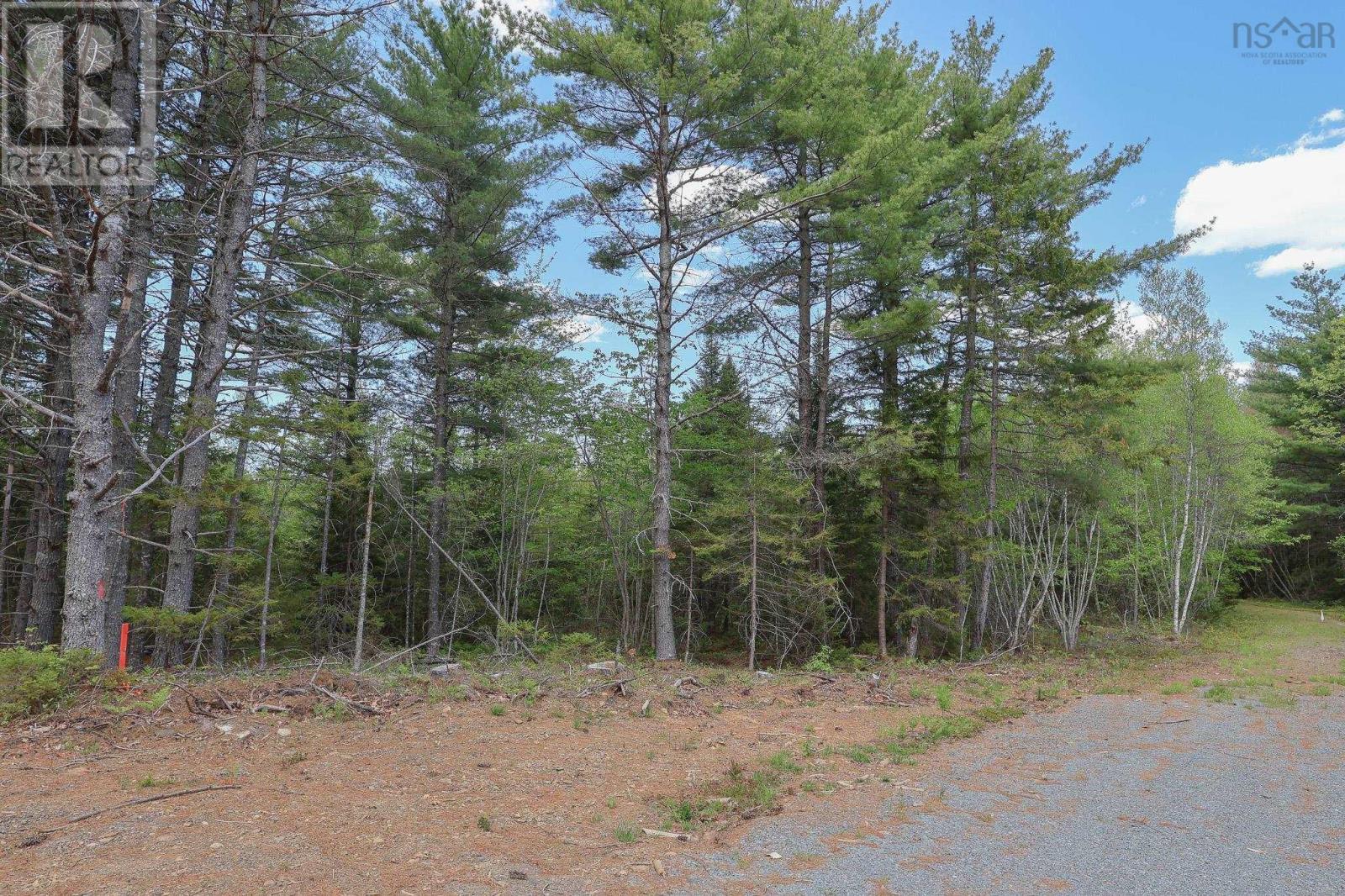 Lot 102 Cleversey Ridge Park, Fauxburg, Nova Scotia  B0J 2C0 - Photo 5 - 202512763