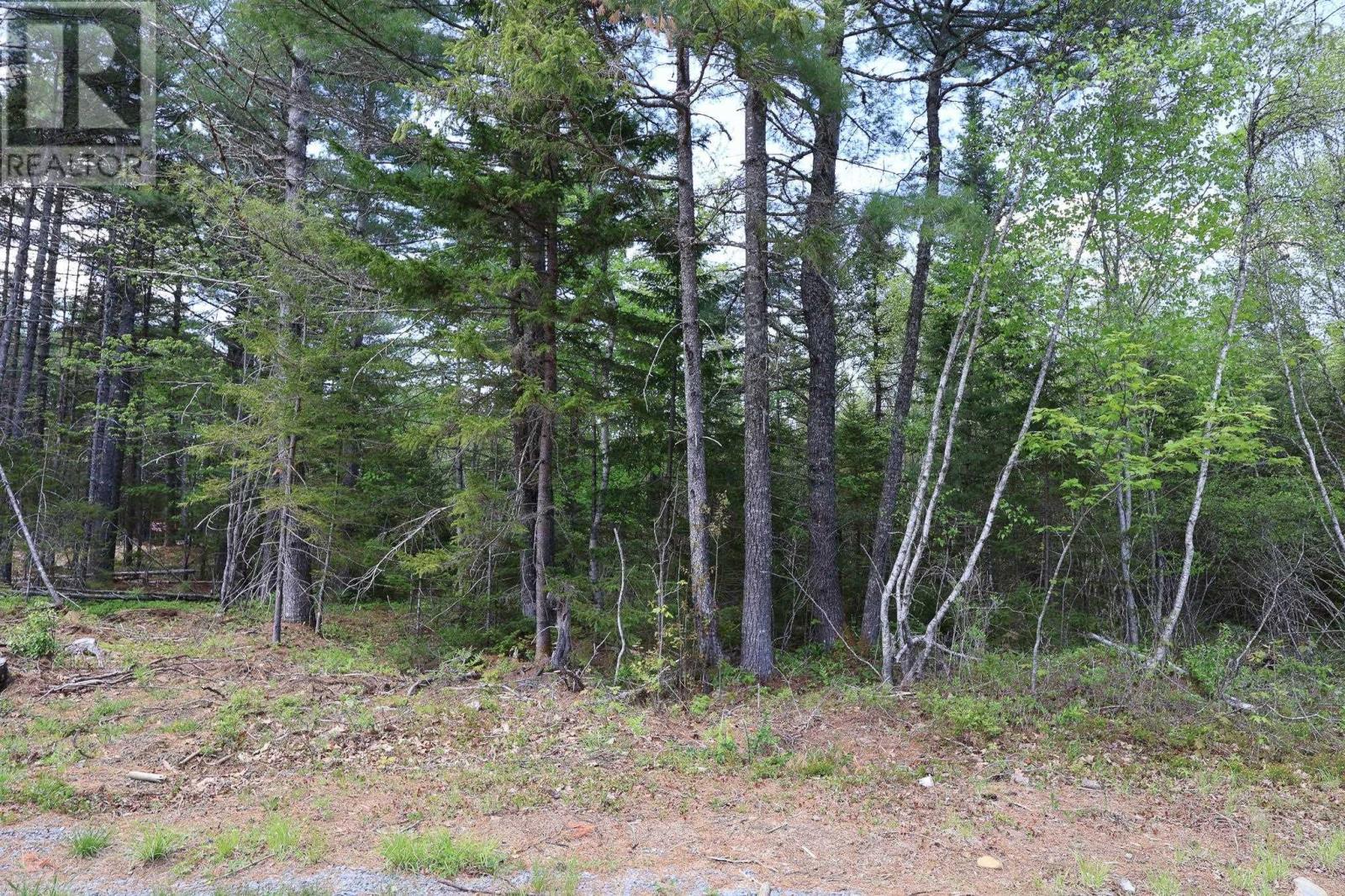 Lot 102 Cleversey Ridge Park, Fauxburg, Nova Scotia  B0J 2C0 - Photo 7 - 202512763