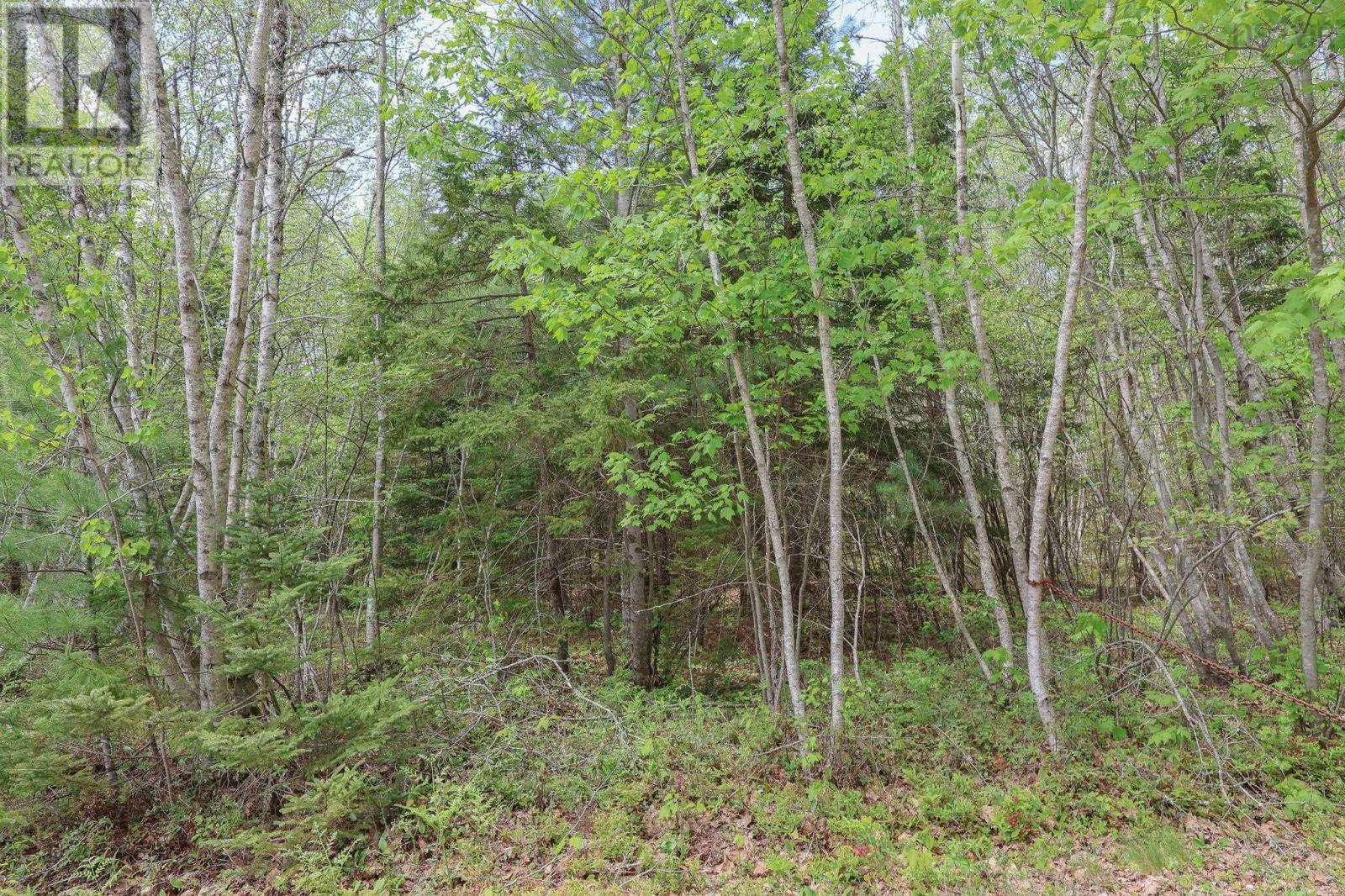 Lot 102 Cleversey Ridge Park, Fauxburg, Nova Scotia  B0J 2C0 - Photo 6 - 202512763
