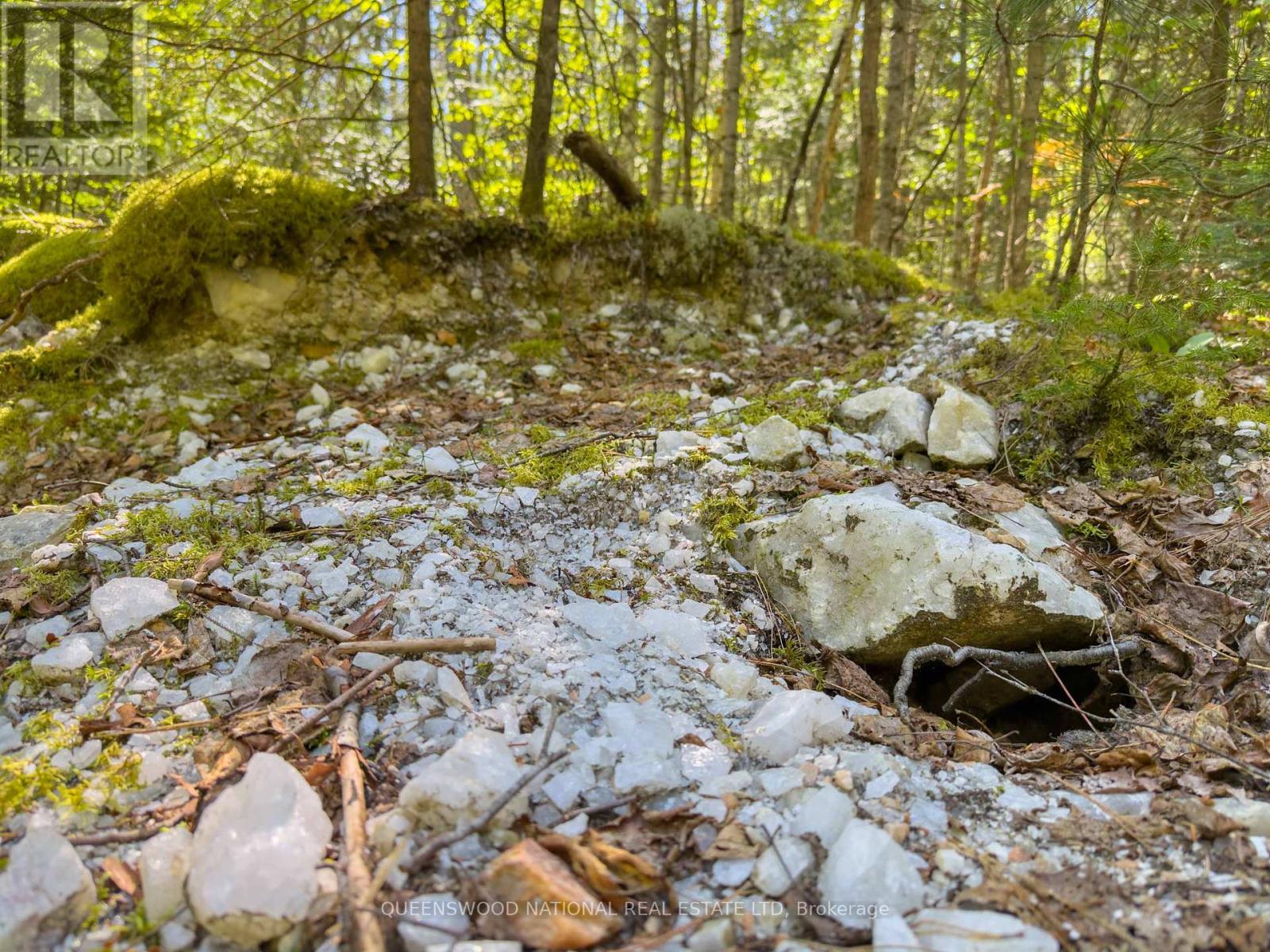 1315 Major Lake Road, South Algonquin, Ontario  K0J 2M0 - Photo 39 - X12190271