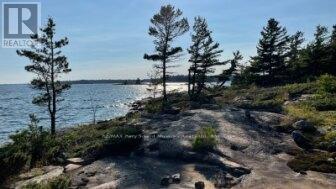 Lot 4 A79 Island, The Archipelago, Ontario P0G 1K0 - Photo 29 - X12134385