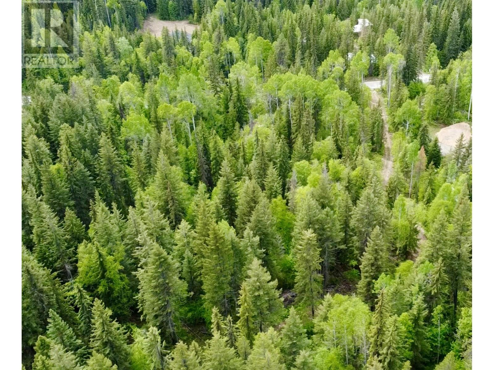 1176 GOLDEN DONALD UPPER Road, Golden, BC V0A1H1