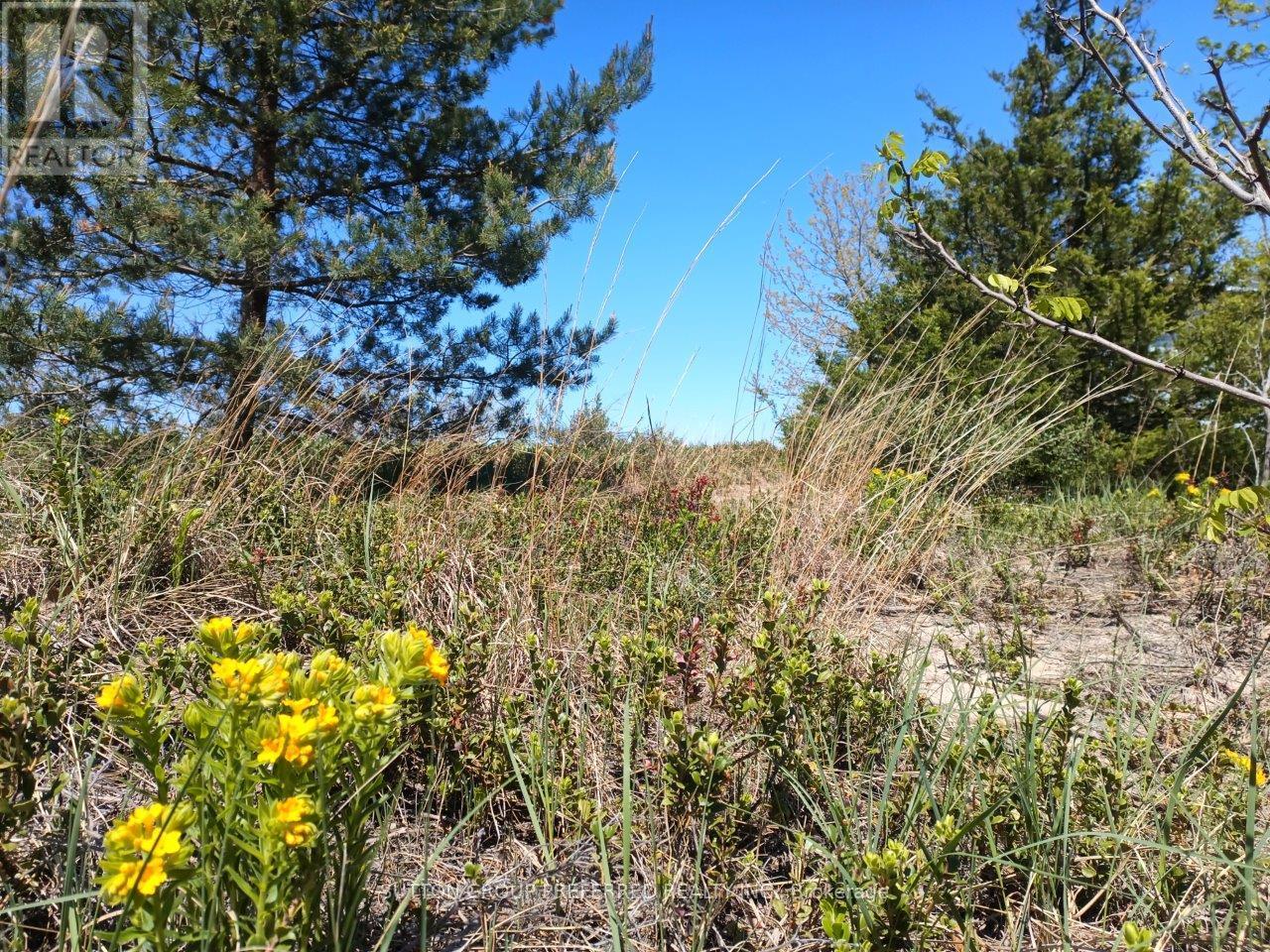 7850 Sydney Walk, Lambton Shores, Ontario  N0M 2L0 - Photo 17 - X12190020