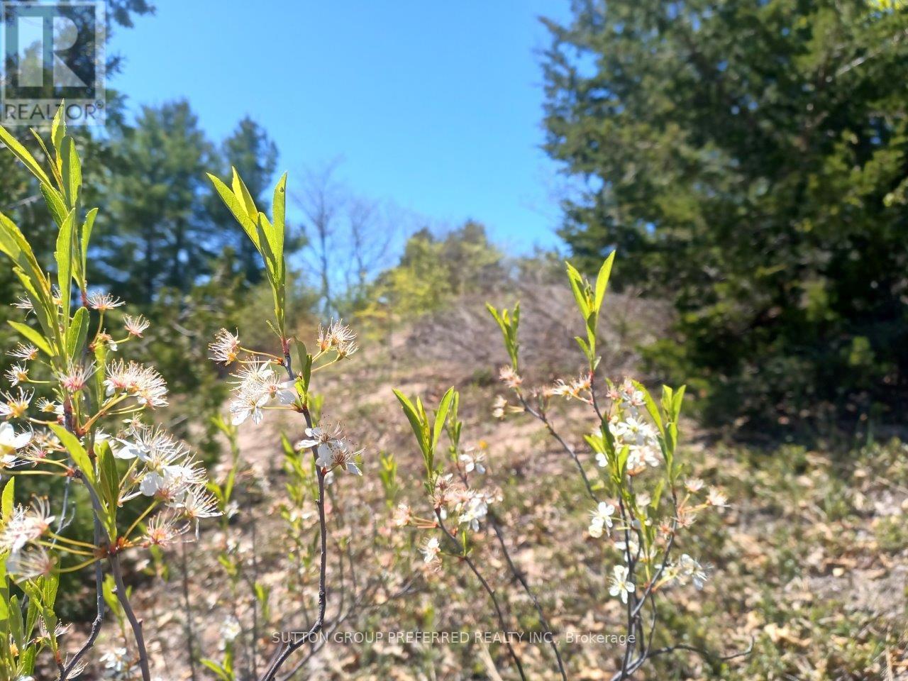 7850 Sydney Walk, Lambton Shores, Ontario  N0M 2L0 - Photo 20 - X12190020