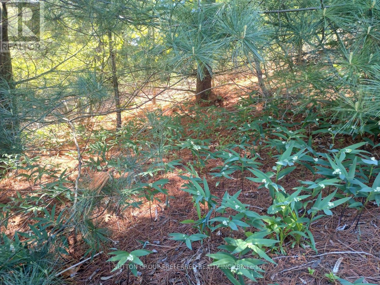 7850 Sydney Walk, Lambton Shores, Ontario  N0M 2L0 - Photo 14 - X12190020