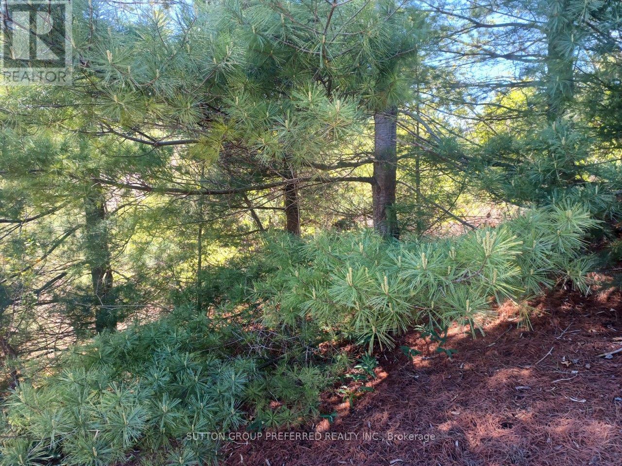 7850 Sydney Walk, Lambton Shores, Ontario  N0M 2L0 - Photo 16 - X12190020