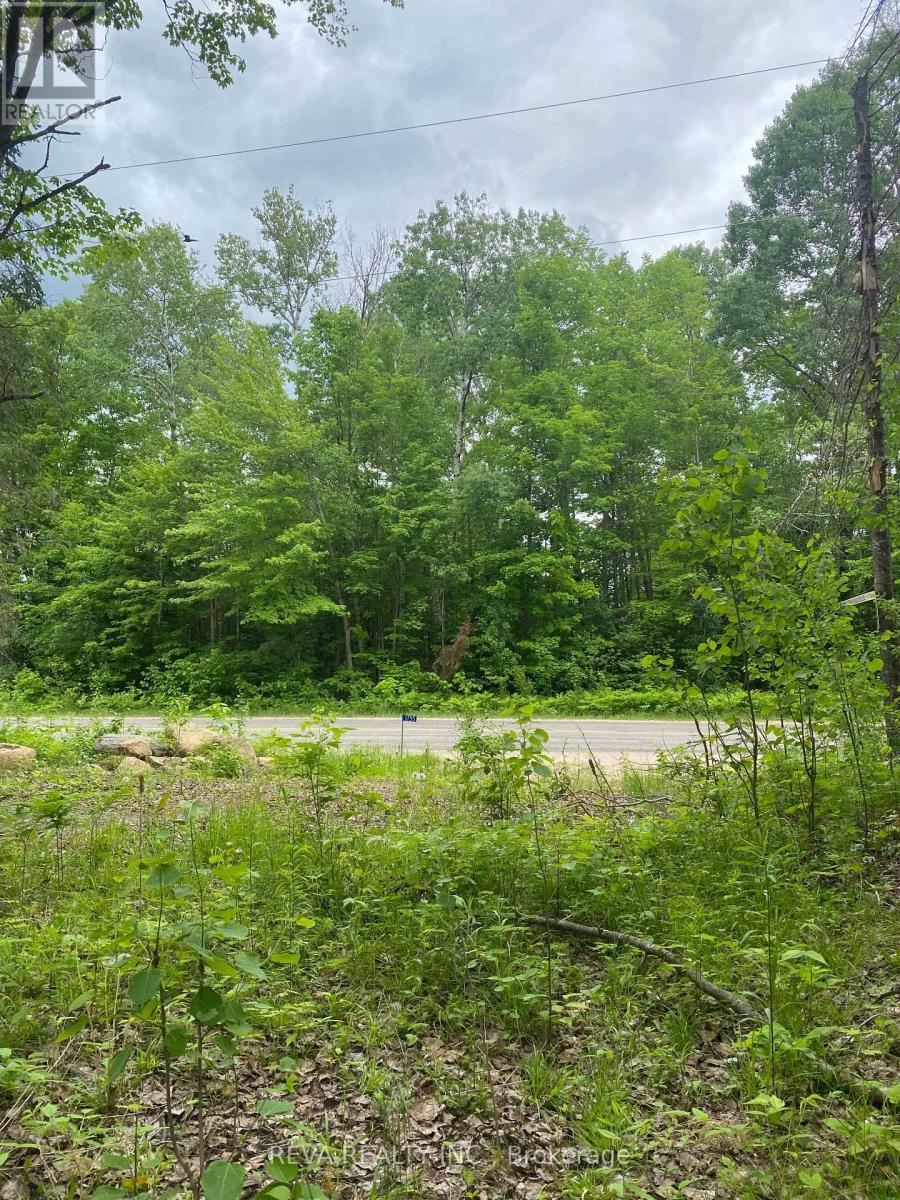 1755 South Baptiste Lake Road, Hastings Highlands, Ontario  K0L 1C0 - Photo 10 - X12190458