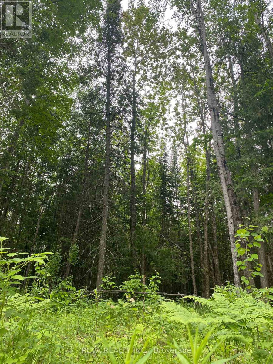 1755 South Baptiste Lake Road, Hastings Highlands, Ontario  K0L 1C0 - Photo 12 - X12190458