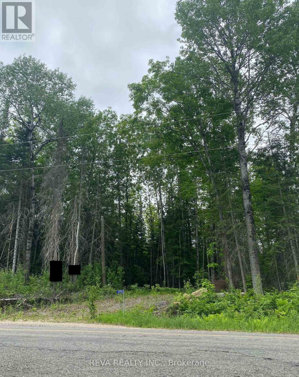 1755 South Baptiste Lake Road, Hastings Highlands, Ontario  K0L 1C0 - Photo 13 - X12190458