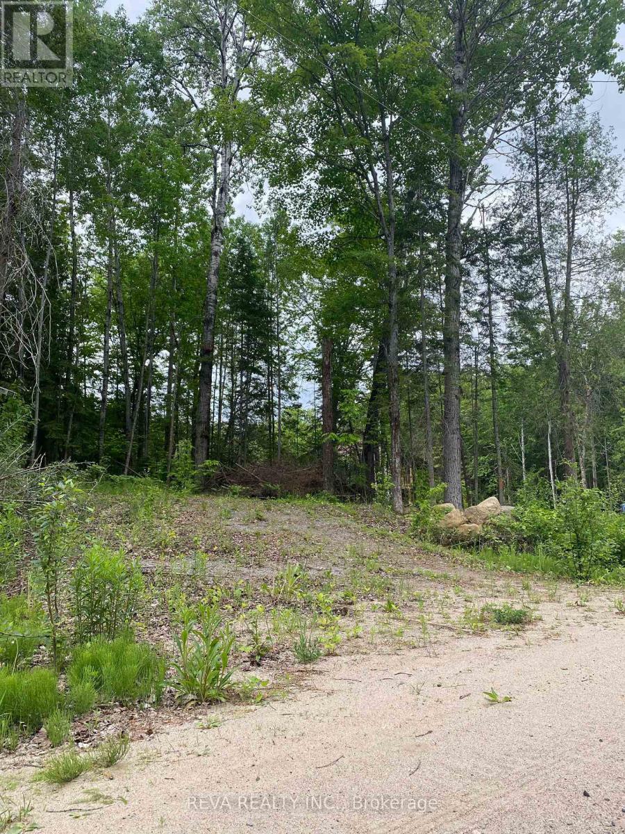 1755 South Baptiste Lake Road, Hastings Highlands, Ontario  K0L 1C0 - Photo 9 - X12190458