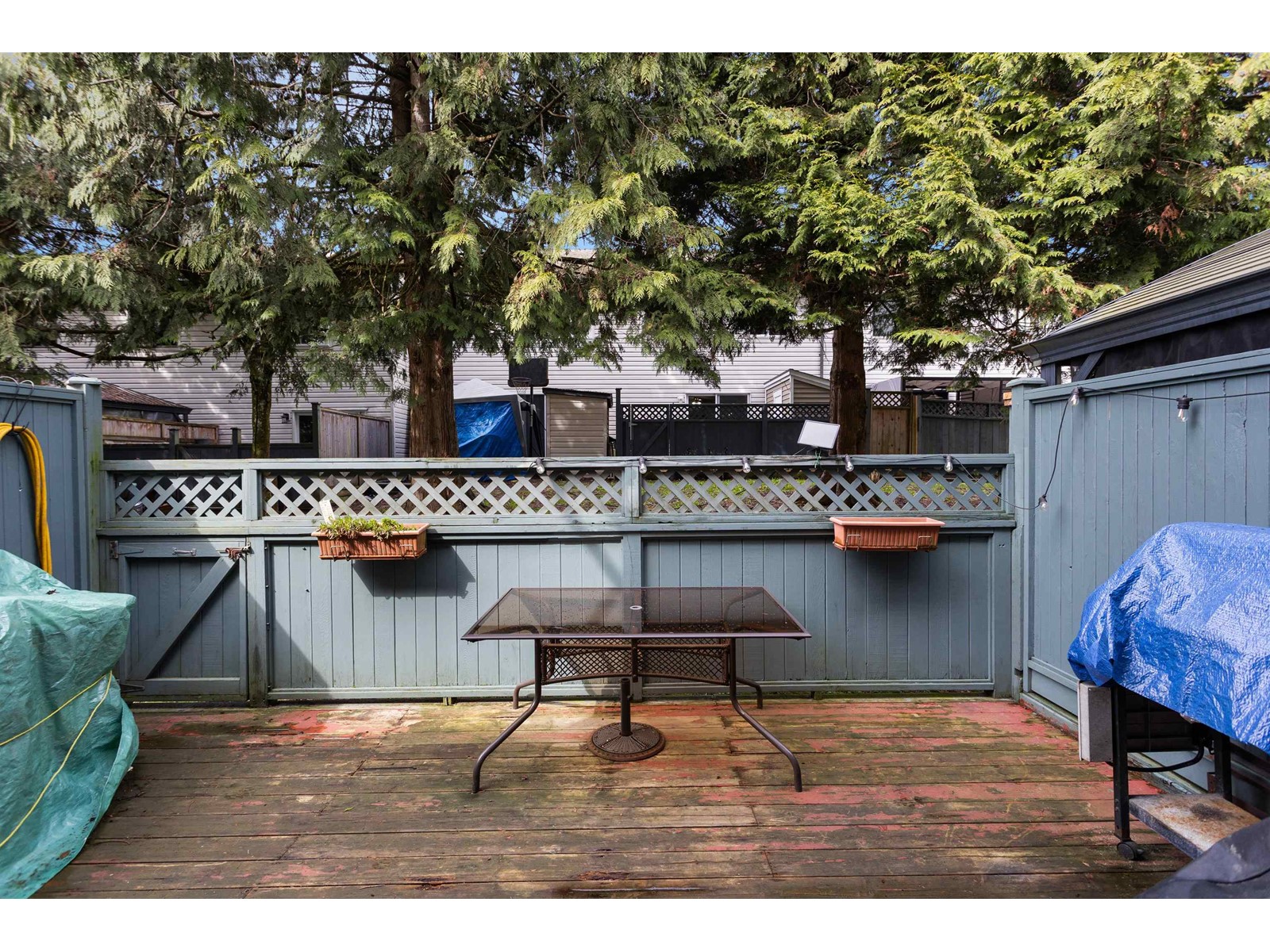 45 6633 138 Street, Surrey, British Columbia  V3W 5G7 - Photo 25 - R3009934