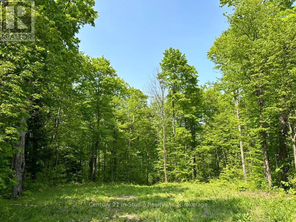 Lt 28 Concession 14 Ndr, West Grey, Ontario  N0G 1S0 - Photo 2 - X11920324