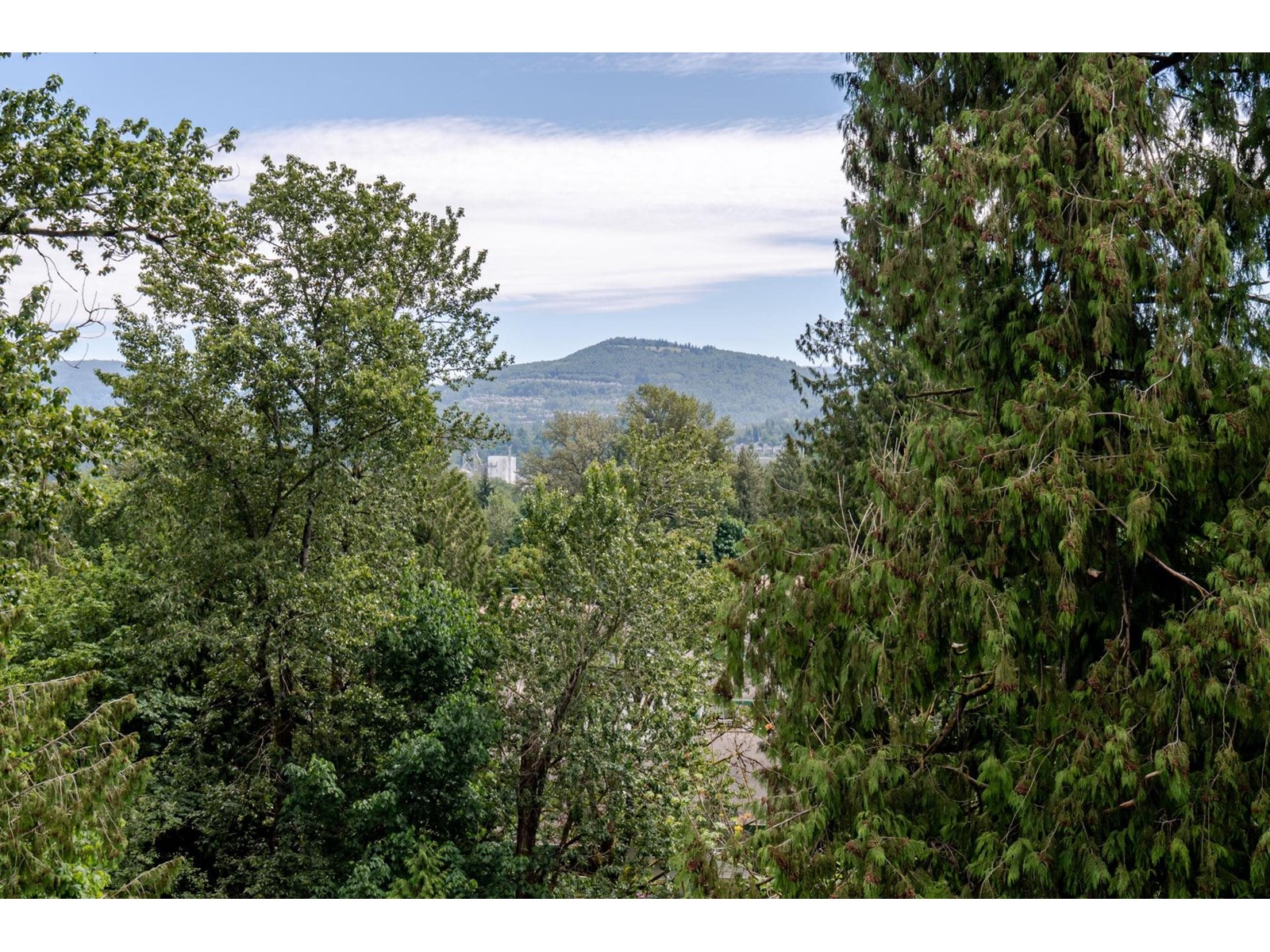 504 3182 Gladwin Road, Abbotsford, British Columbia  V2T 0K8 - Photo 19 - R3009600