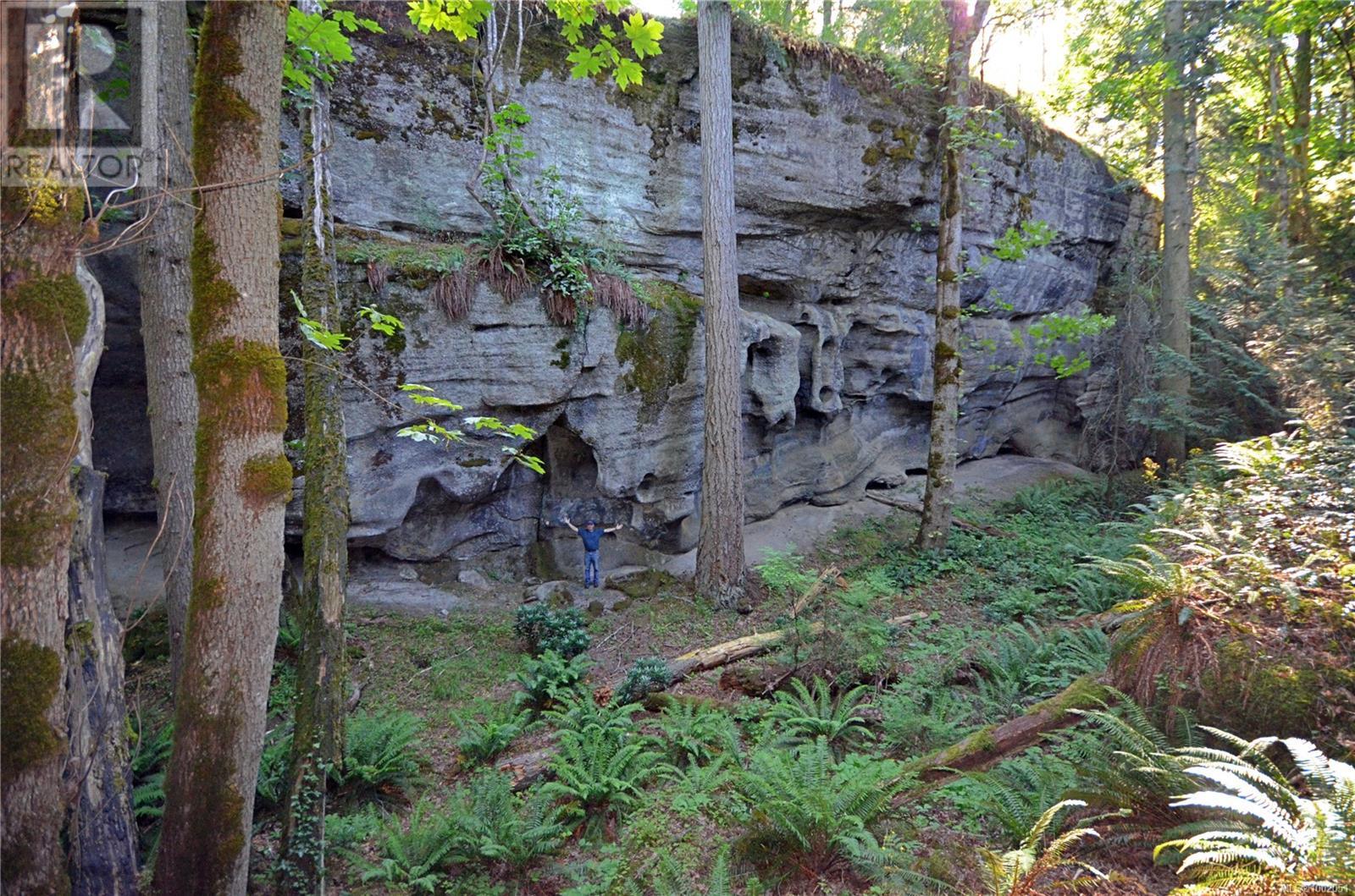 Property at 3786 Jingle Pot Rd image 3