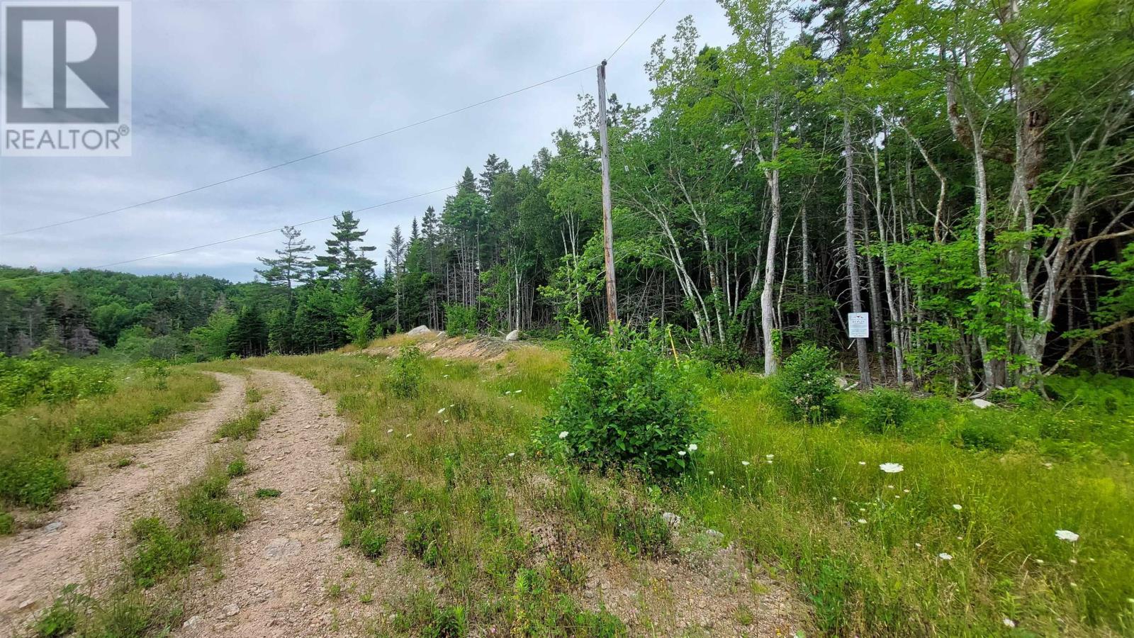 Lot 1g Marble Mountain Rd, Malagawatch, Nova Scotia  B0E 2Y0 - Photo 6 - 202513019
