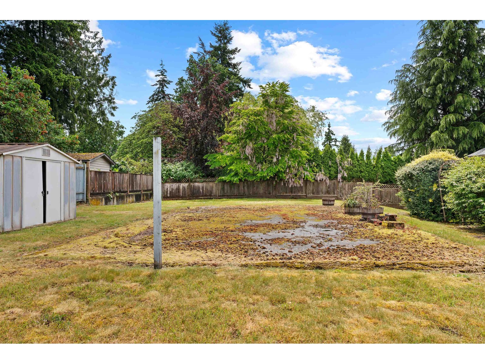 10278 125 Street, Surrey, British Columbia  V3V 4Y4 - Photo 33 - R3009954