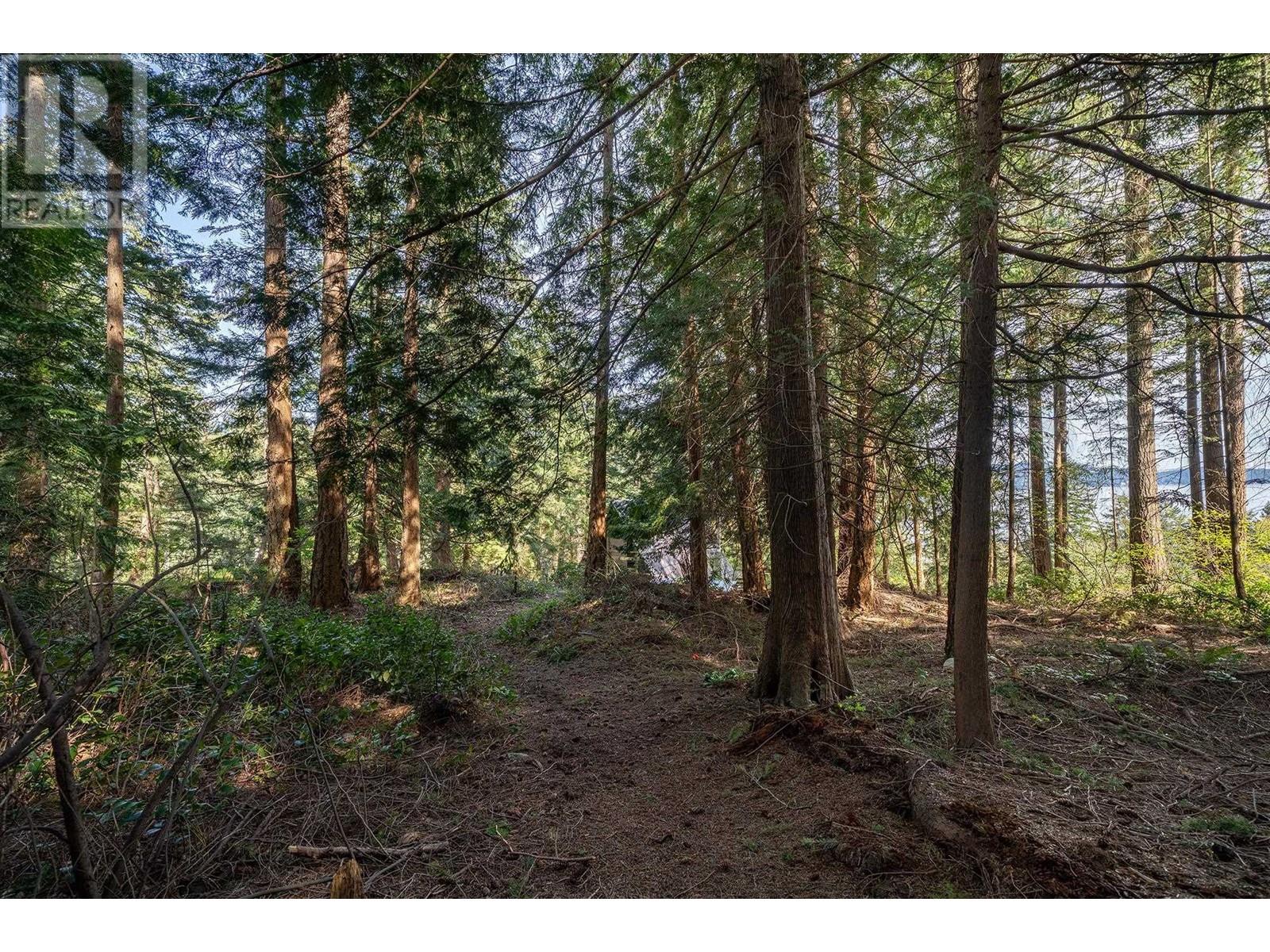 912 Taylor Road, Bowen Island, British Columbia  V0N 1G1 - Photo 28 - R2992222