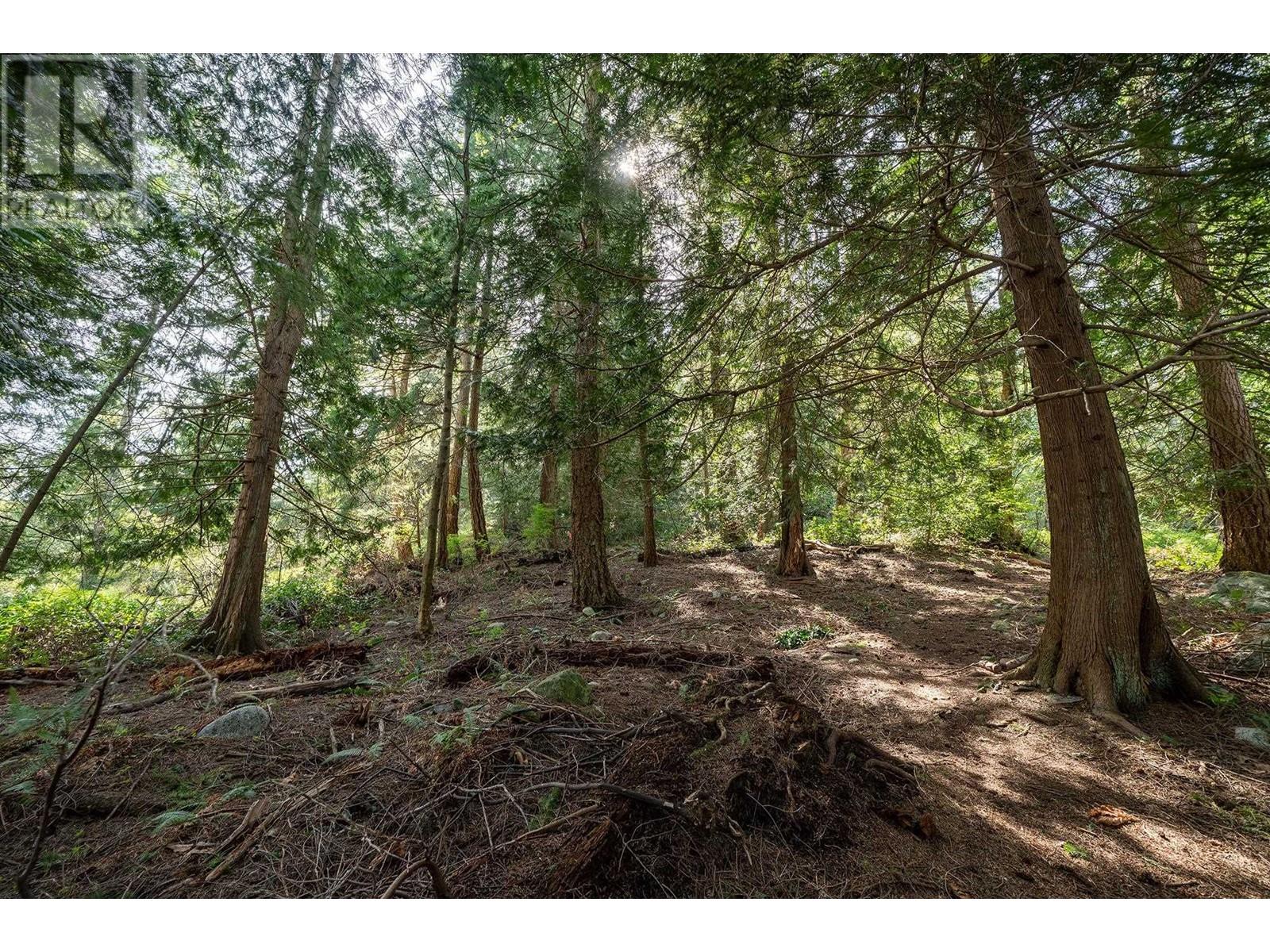 912 Taylor Road, Bowen Island, British Columbia  V0N 1G1 - Photo 20 - R2992222