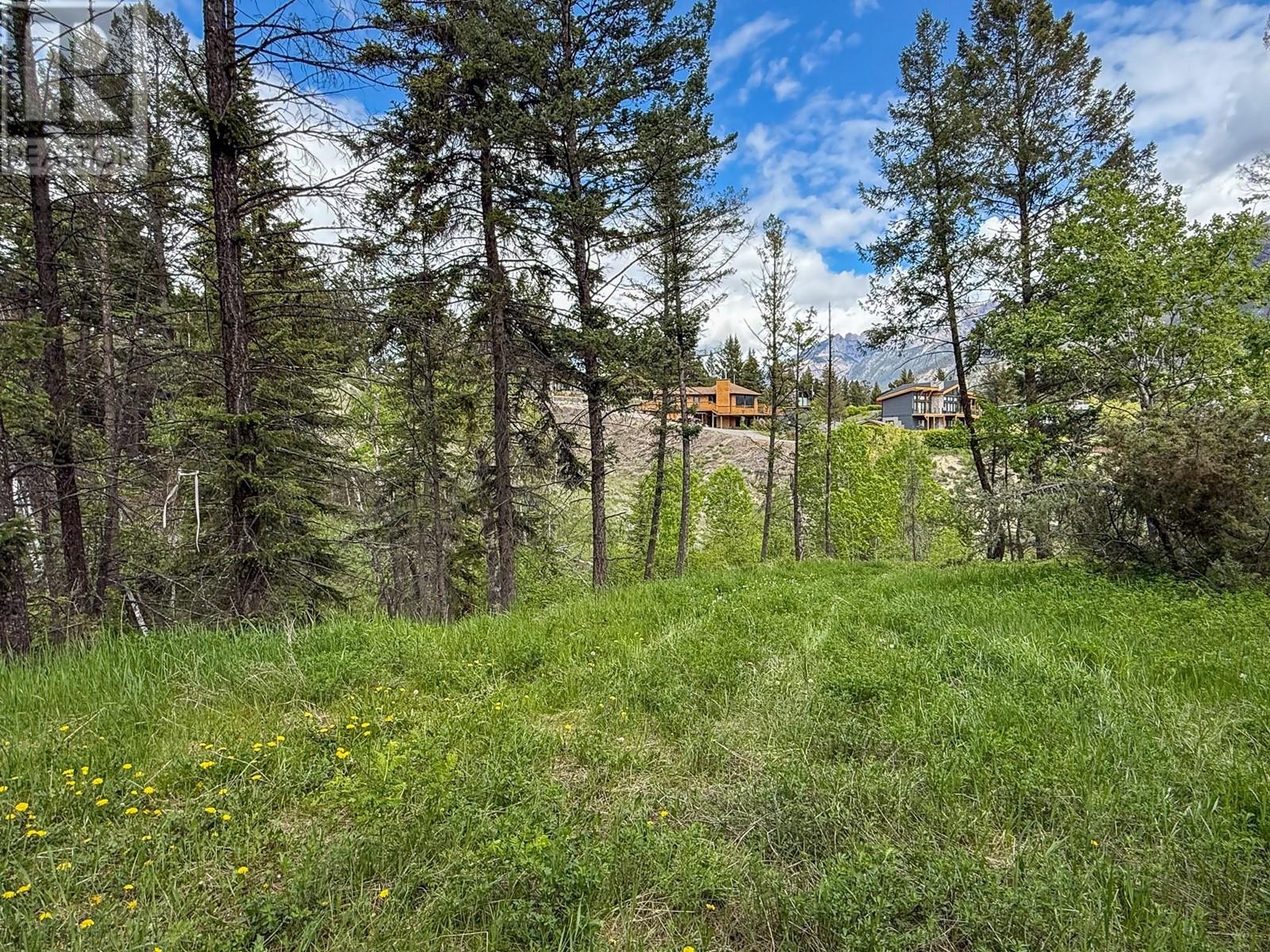 Lot 1 Columere Road, Fairmont Hot Springs, British Columbia  V0B 1L2 - Photo 8 - 10348944
