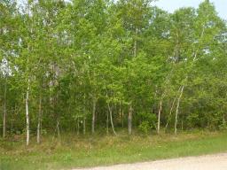 Property: 62 PALMER Place, Sandy Hook, Manitoba