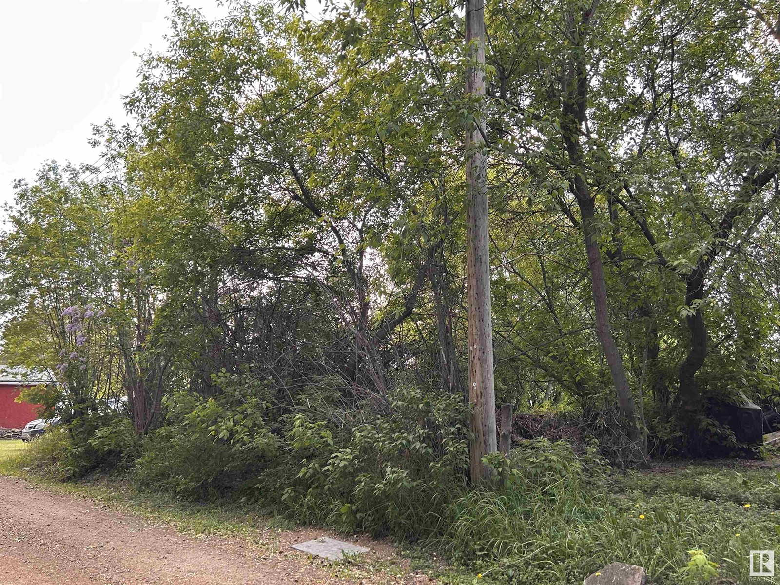 413 5 St, Thorhild, Alberta  T0A 3J0 - Photo 7 - E4439988