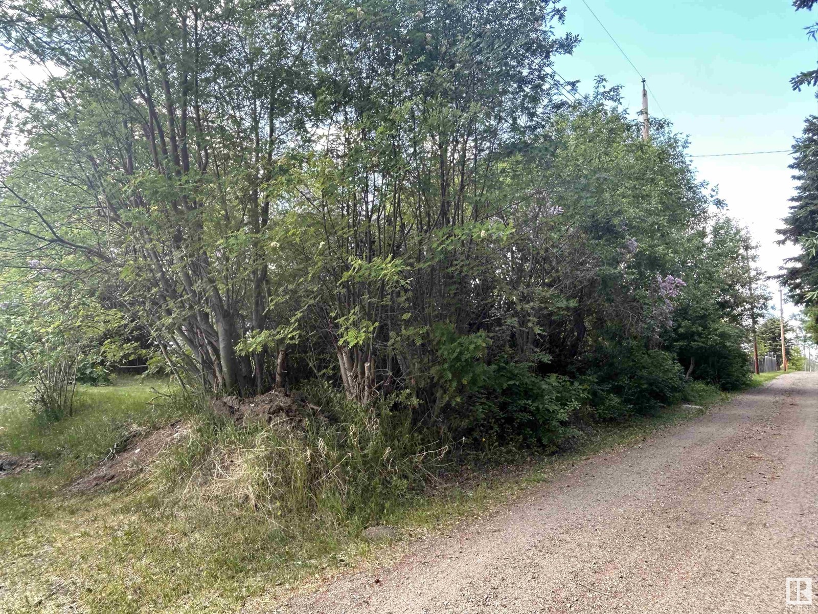 413 5 St, Thorhild, Alberta  T0A 3J0 - Photo 8 - E4439988