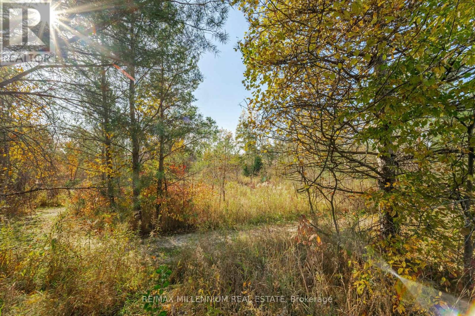 200 Lia Drive, Clearview (Stayner), Ontario  L0M 1S0 - Photo 40 - S12190781