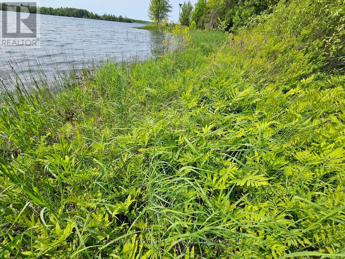 0000 Cedarstone Road, Stone Mills, Ontario  K0K 3G0 - Photo 15 - X12179320
