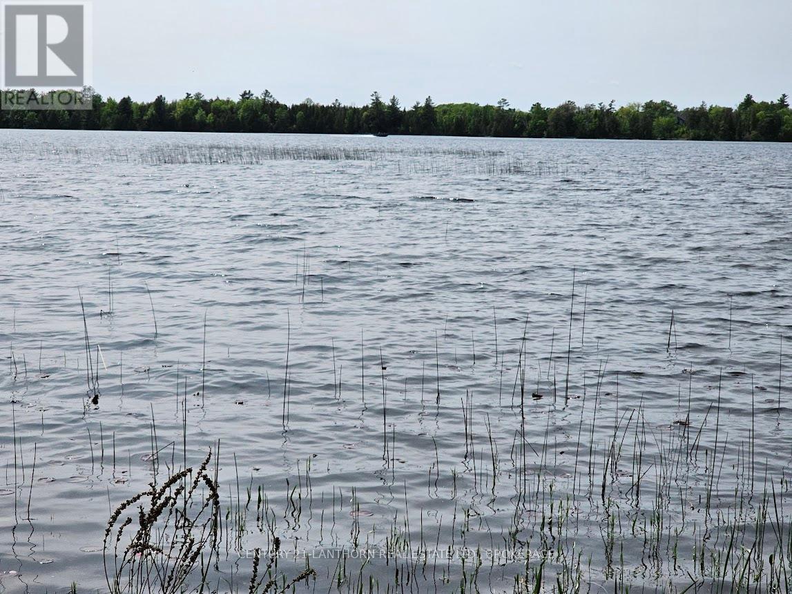 Lorem Ipsum Dolor Si, Stone Mills, Ontario  K0K  - Photo 7 - DEMO28379522