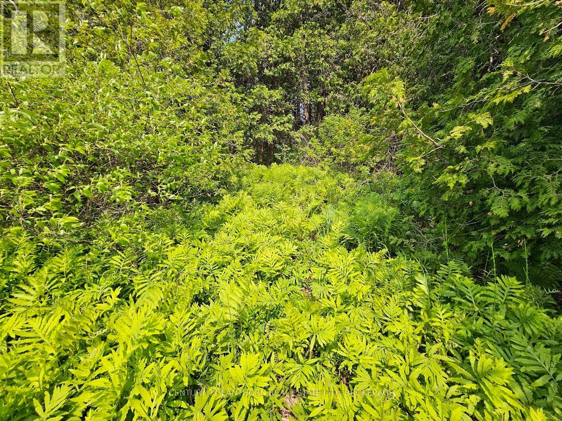 0000 Cedarstone Road, Stone Mills, Ontario  K0K 3G0 - Photo 16 - X12179320