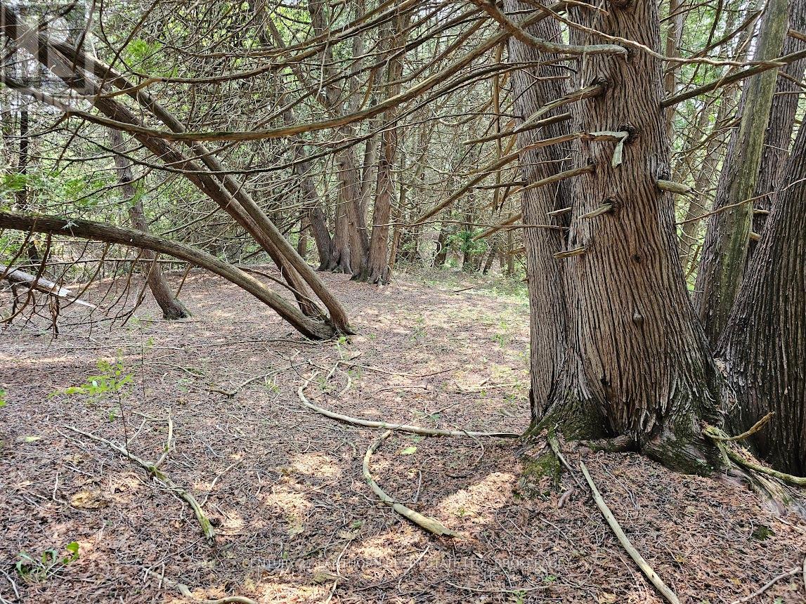 Lorem Ipsum Dolor Si, Stone Mills, Ontario  K0K  - Photo 9 - DEMO28379522