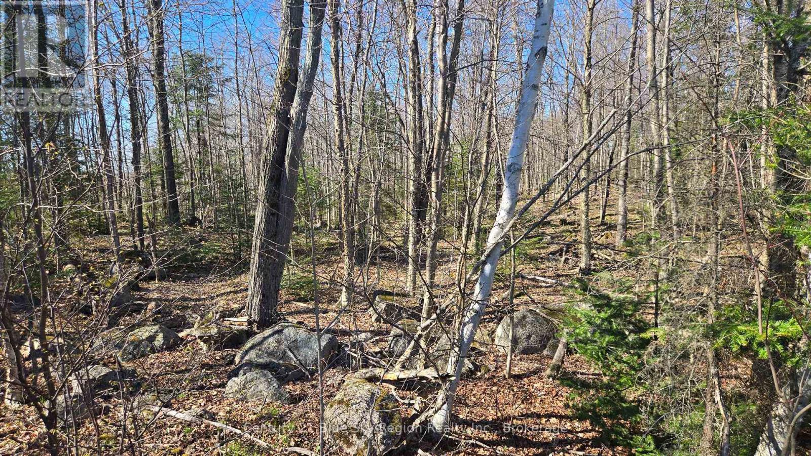 Pt Lt 33 Con 5 Hummel Line, Powassan, Ontario  P0H 1Z0 - Photo 10 - X12136395