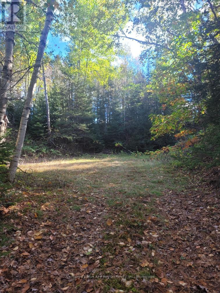 Pt Lt 33 Con 5 Hummel Line, Powassan, Ontario  P0H 1Z0 - Photo 13 - X12136395